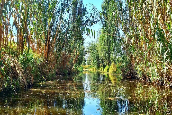 3 Hours of Kayaking at the Ancient Canals of Xochimilco - Pace and comfort: what moderate fitness really means here
