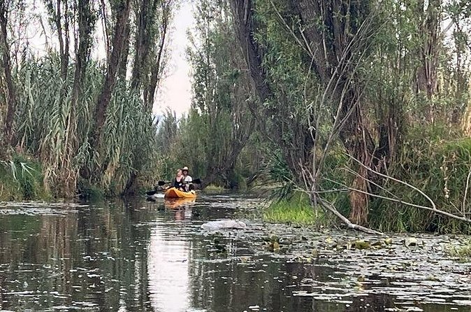 3 Hours of Kayaking at the Ancient Canals of Xochimilco - Price and value: what $71.65 gets you