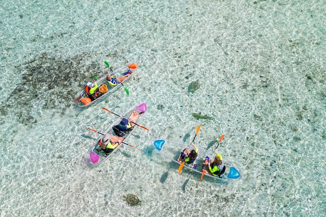 3HR Clear Kayak Mangrove and iguana island Tour in Leeward - Key highlights you should know before you go
