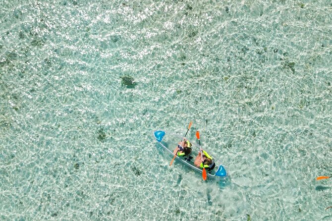 3HR Clear Kayak Mangrove and iguana island Tour in Leeward - Stop 2: Little Water Cay and Rock Iguanas in Natural Habitat