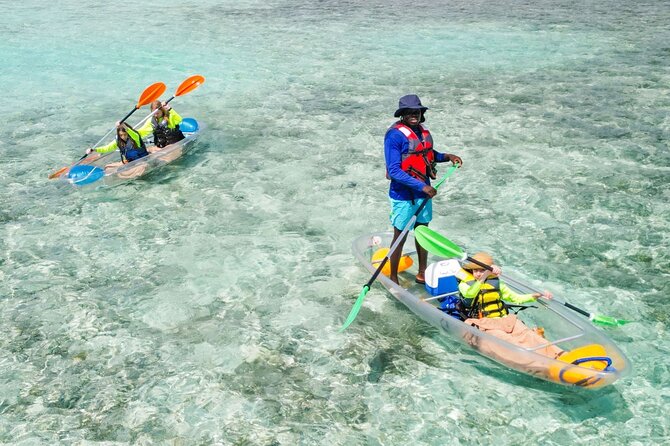 3HR Clear Kayak Mangrove and iguana island Tour in Leeward - Stop 1: Mangrove Cay and the Clear-Water Wildlife Hunt