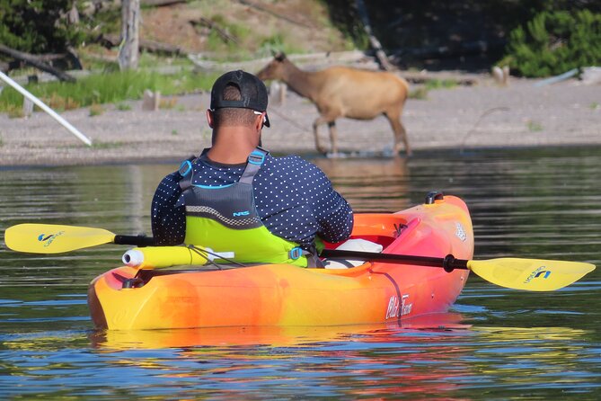 4-Hour Kayak on Yellowstone Lake with Lunch - Stop by Stop: What You’ll Actually See at West Thumb from the Water