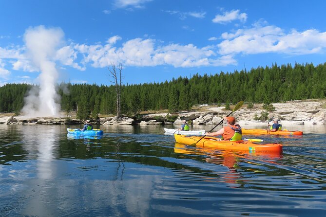 4-Hour Kayak on Yellowstone Lake with Lunch - Wildlife Odds: What to Expect and How to Improve Your Chances