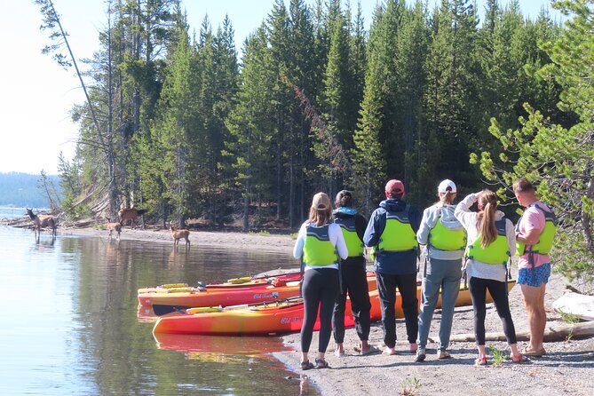 4-Hour Kayak on Yellowstone Lake with Lunch - Price and Value: What You’re Paying For (and What You’re Not)