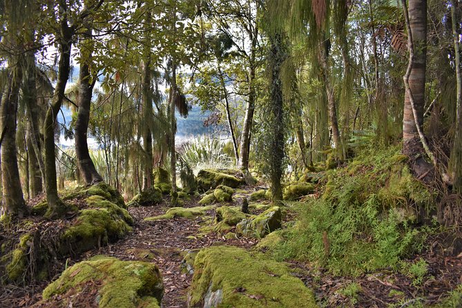 4-hour Lake Mapourika Kayak and Hike adventure, with Okarito Kiwi Sanctuary - Timing, Flow, and What Happens During the Breaks