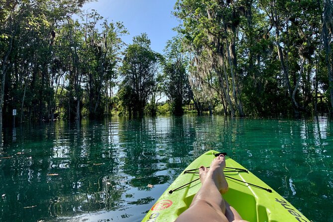 4 Hour Single Kayak Rental In Crystal River, Florida - Price and Logistics: How $50 Turns Into Your Final Cost