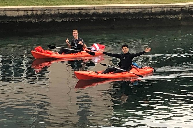 4 Hour Single Kayak Rental In Crystal River, Florida - Your Kayak Setup: Stable, Sit-on-Top, Beginner-Friendly