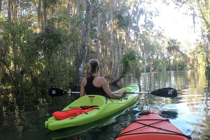 4 Hour Single Kayak Rental In Crystal River, Florida - Staff and Dock Experience: Names You Might Hear and What They Actually Do