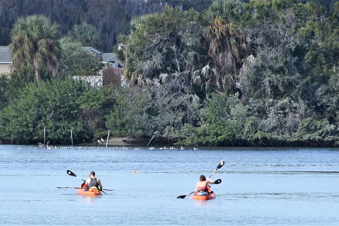 4 Hour Tandem Kayak Rental For Two People In Crystal River, Florida - Your 4 Hours on the Water: Paddling Routes and Timing