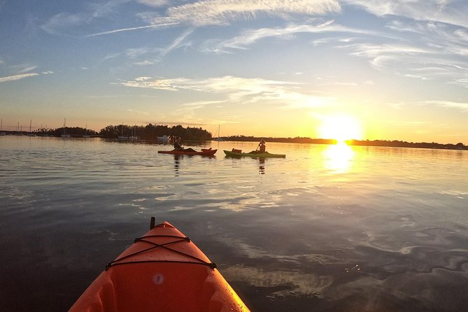 4 Hour Tandem Kayak Rental For Two People In Crystal River, Florida - Manatees and Other Wildlife: What to Expect (and What Changes in Winter)
