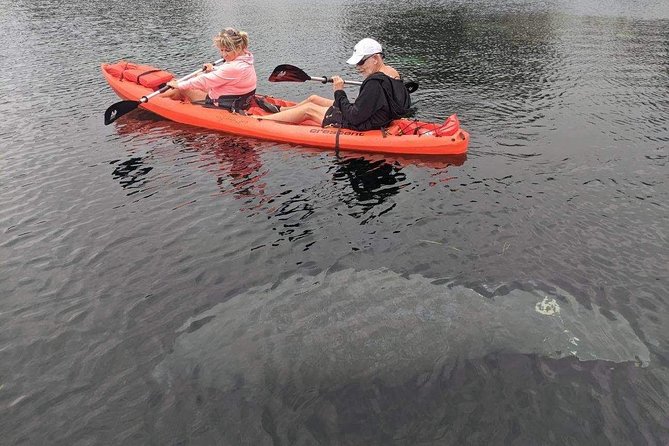 4 Hour Tandem Kayak Rental For Two People In Crystal River, Florida - Check-In, Wristbands, and the FWC Video Before You Launch
