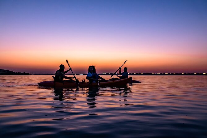 4 Hours Purple Island Mangroves Kayaking Adventure in Qatar - Wildlife and birdwatching: what you should actually look for