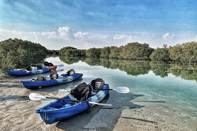 4 Hours Purple Island Mangroves Kayaking Adventure in Qatar - What’s included (and how the experience is set up)