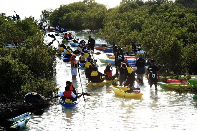 4 Hours Purple Island Mangroves Kayaking Adventure in Qatar - Price and value: is $120 per person fair for this kind of outing?