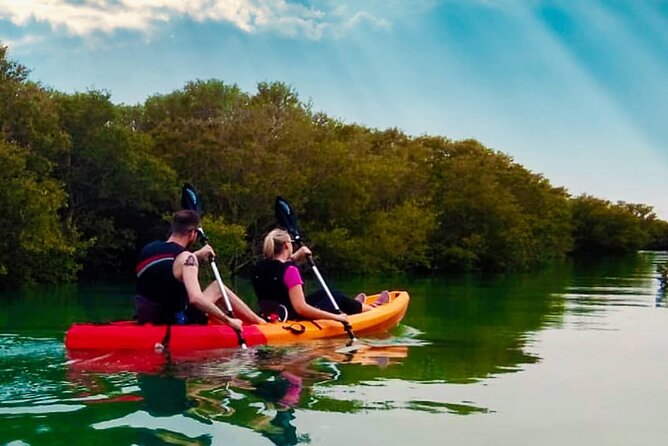 4 Hours Purple Island Mangroves Kayaking Adventure in Qatar - Who this tour is best for (and who should skip it)