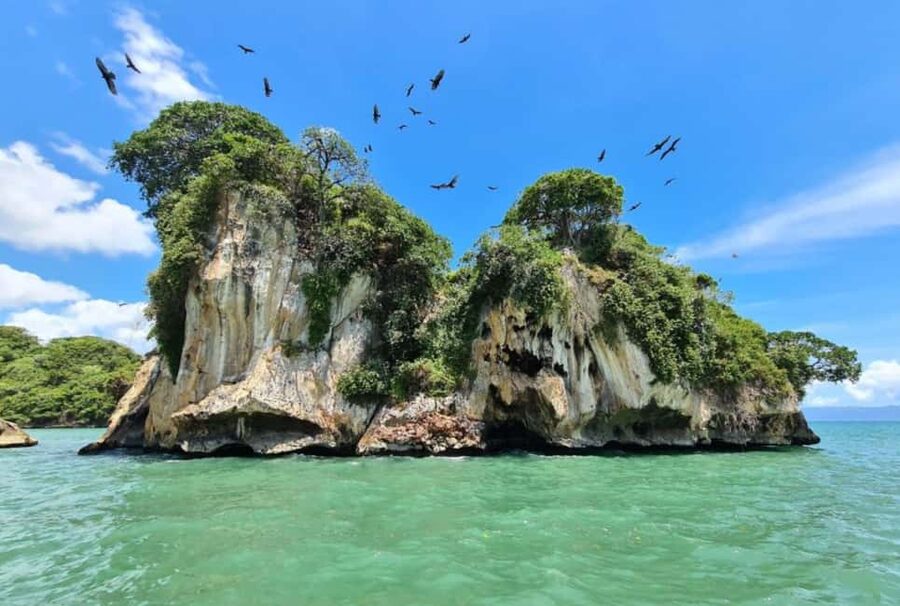 4in1: Los Haitises+ Kayaking+ Natural Pools+ Montana Redonda - Lunch with Dominican flavor: fuel that keeps the day moving