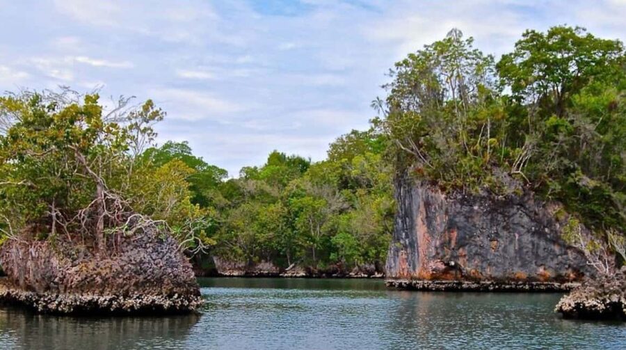 4in1: Los Haitises+ Kayaking+ Natural Pools+ Montana Redonda - Price and value: why $145 can make sense (or not)