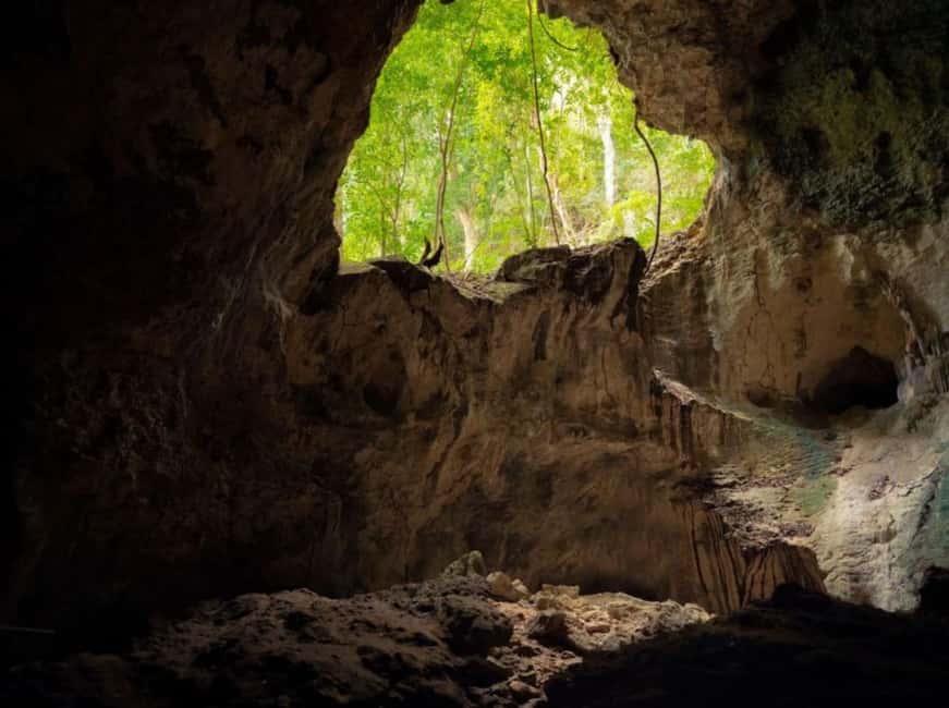 4in1: Los Haitises+ Kayaking+ Natural Pools+ Montana Redonda - Guide and group reality: languages, photos, and small surprises