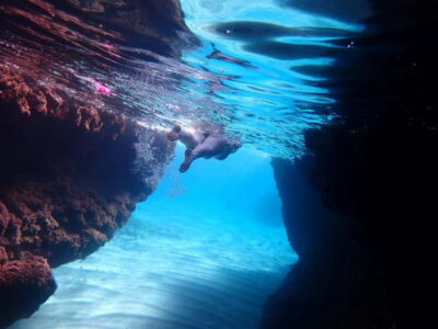 5-hour Cape Greco Caves kayaking + Snorkelling trip - Limnara Beach to Palaces Cove: How the Kayaking Route Works