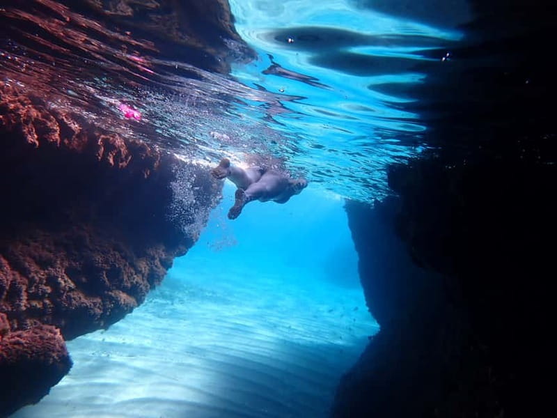 5-hour Cape Greco Caves kayaking + Snorkelling trip - Limnara Beach to Palaces Cove: How the Kayaking Route Works