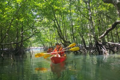 5 Hours Kilim Mangrove Kayaking Sharing Tour (With Hotel Pickup) - Pickup and small-group size: easier than you’d expect