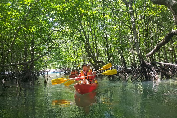 5 Hours Kilim Mangrove Kayaking Sharing Tour (With Hotel Pickup) - Pickup and small-group size: easier than you’d expect