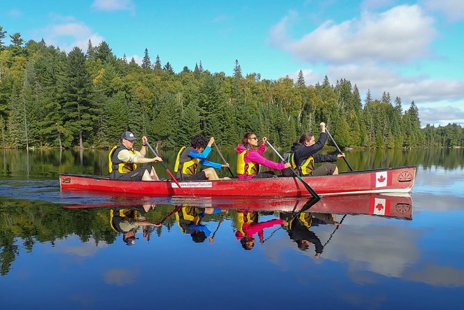 6 Hour Algonquin Park Canoe Trip - Key things that make this Algonquin canoe day work