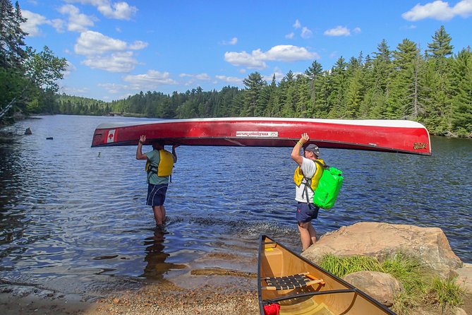 6 Hour Algonquin Park Canoe Trip - Wildlife watching that feels realistic, not performative