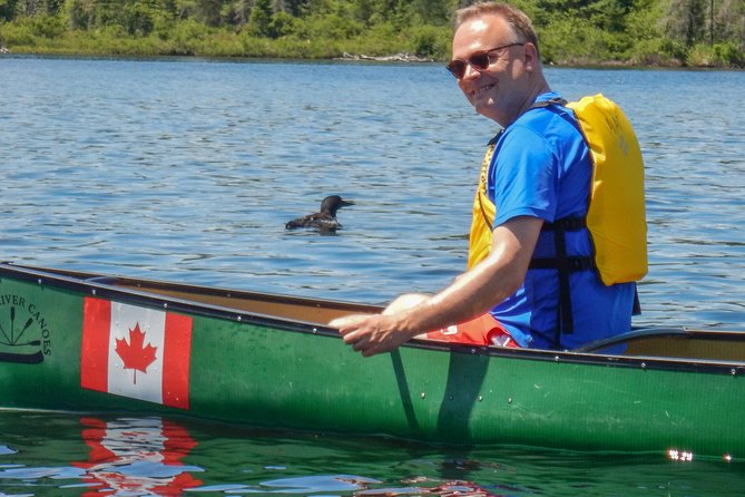 6 Hour Algonquin Park Canoe Trip - Lunch and wild edibles: keeping energy up the smart way