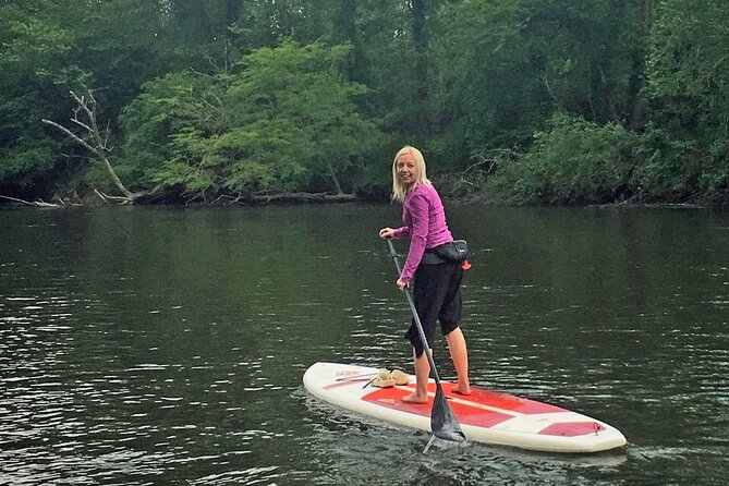 7 Mile Guided Paddleboard Tour On The French Broad River in Asheville - French Broad River and the Biltmore view you can actually paddle beside