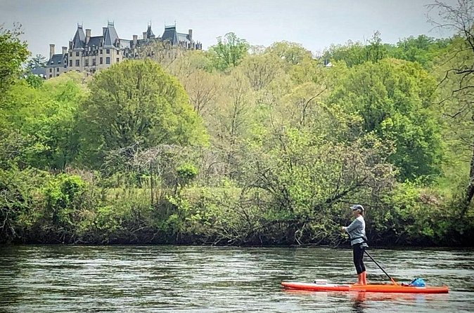 7 Mile Guided Paddleboard Tour On The French Broad River in Asheville - The 7-mile paddle: pacing, scenery, and wildlife spotting