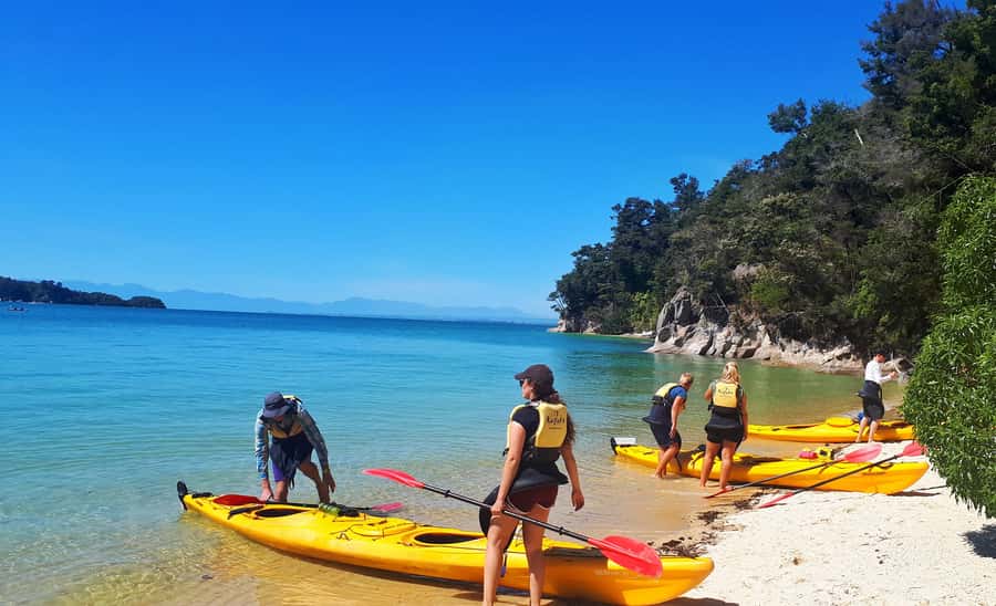 Abel Tasman Kayaks: 1 Day Freedom Kayak Rental - Return Paddle: Revisiting Favorites (or Fixing What You Missed)