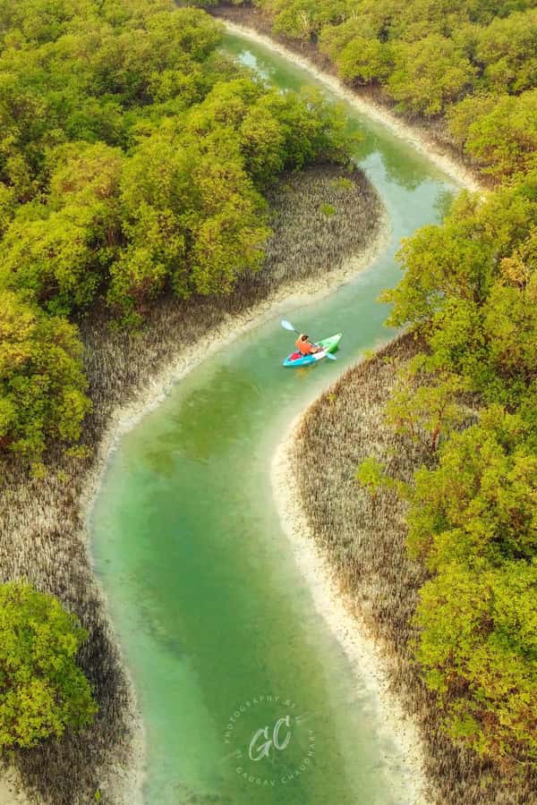 Abu Dhabi: Reem Central Park 2-hour Guided Kayak Tour - Key highlights worth your time