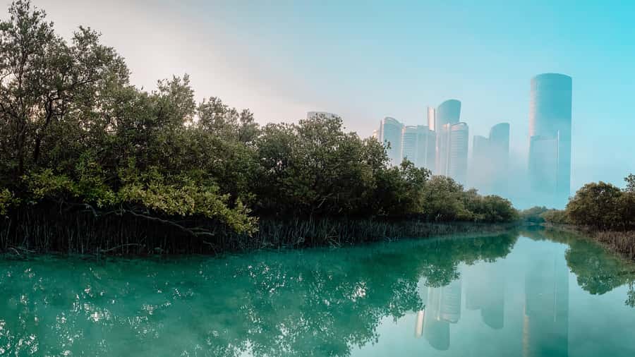 Abu Dhabi: Reem Central Park 2-hour Guided Kayak Tour - Reem Central Park: Where Abu Dhabi Turns Quiet