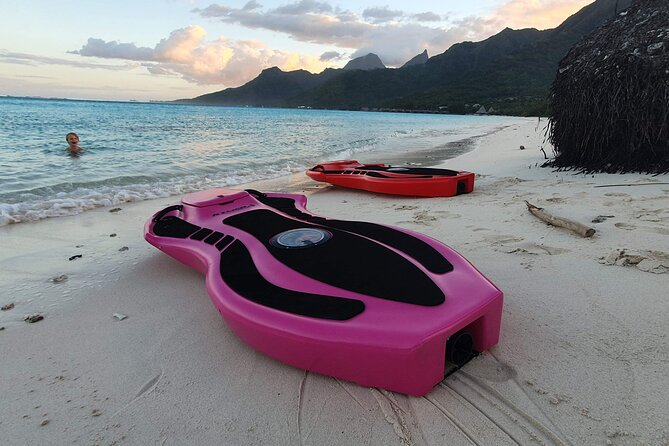 Activity/Excursion Lagoon Tour to Moorea by Canoe 6 hours - Sea Turtle Spot and Coral Garden: When Calm Water Helps