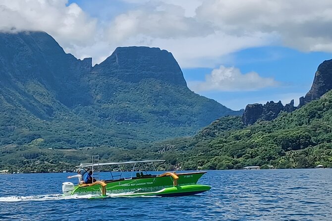 Activity/Excursion Lagoon Tour to Moorea by Canoe 6 hours - Who Should Book This Canoe Lagoon Tour to Moorea