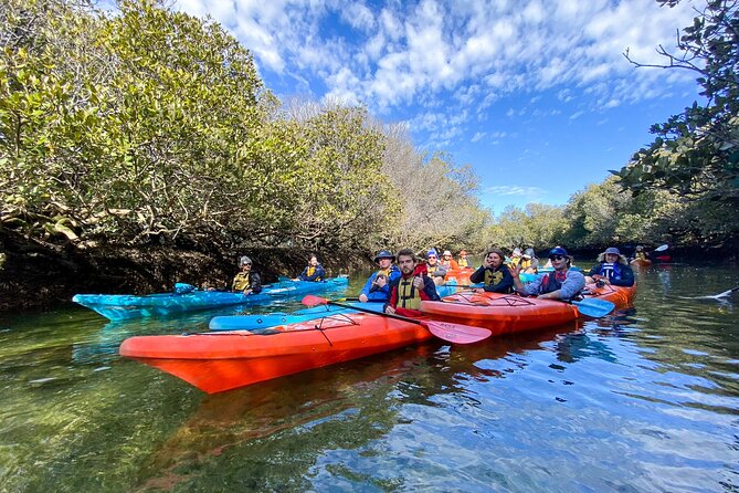 Adelaide Dolphin Sanctuary and Ships Graveyard Kayak Tour - Key highlights at a glance