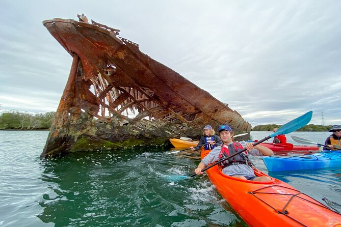Adelaide Dolphin Sanctuary and Ships Graveyard Kayak Tour - What to bring so your day stays comfortable