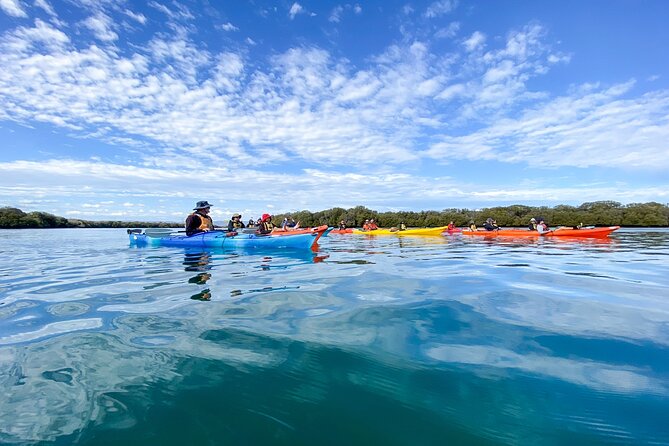 Adelaide Dolphin Sanctuary and Ships Graveyard Kayak Tour - Getting ready at Adventure Kayaking SA