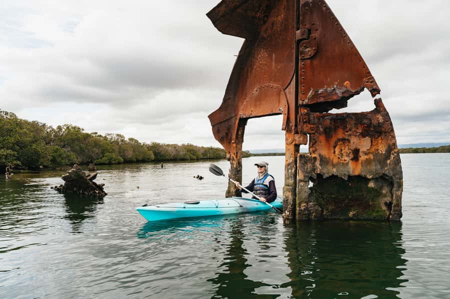 Adelaide: Dolphin Sanctuary Eco Kayaking Tour - Key points before you go