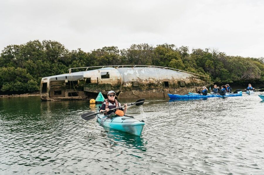 Adelaide: Dolphin Sanctuary Eco Kayaking Tour - What to bring for mangroves, sun, and photo-friendly water