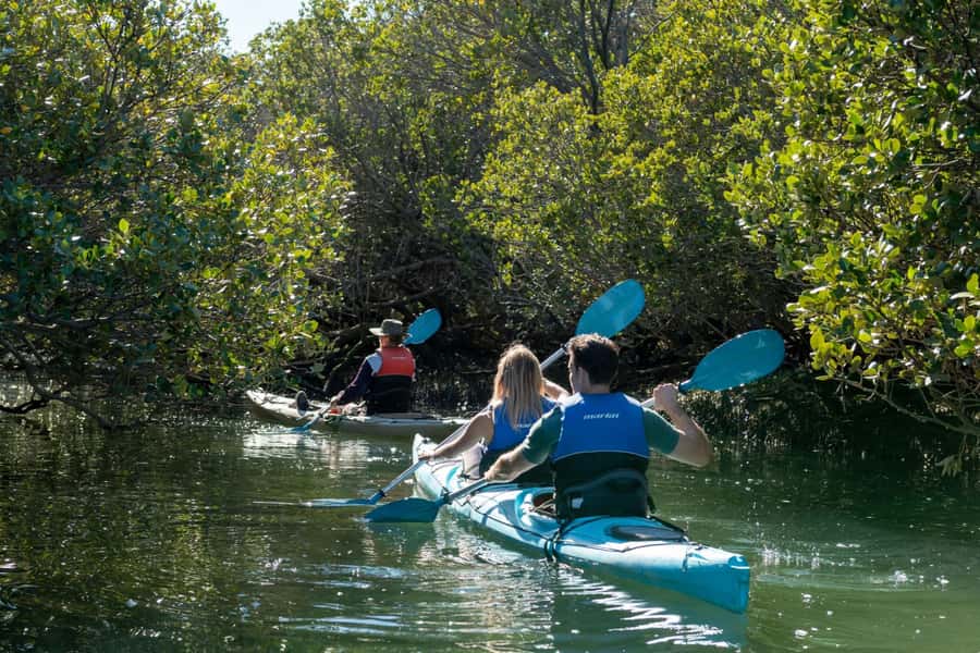 Adelaide: Dolphin Sanctuary Eco Kayaking Tour - Port Adelaide starts at Angas Inlet Boat Club