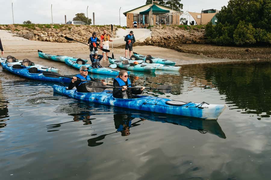Adelaide: Dolphin Sanctuary Eco Kayaking Tour - Shipwreck passes: where you might see more, or just learn why you can’t