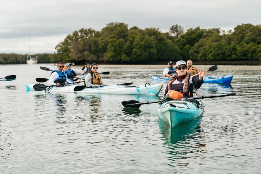 Adelaide: Dolphin Sanctuary Eco Kayaking Tour - Guides and marine biology talk: more than a “look and go” tour