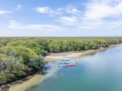 Adelaide: Dolphin Sanctuary Mangroves Kayak Tour - Meeting at Adventure Kayaking SA and getting on the water fast