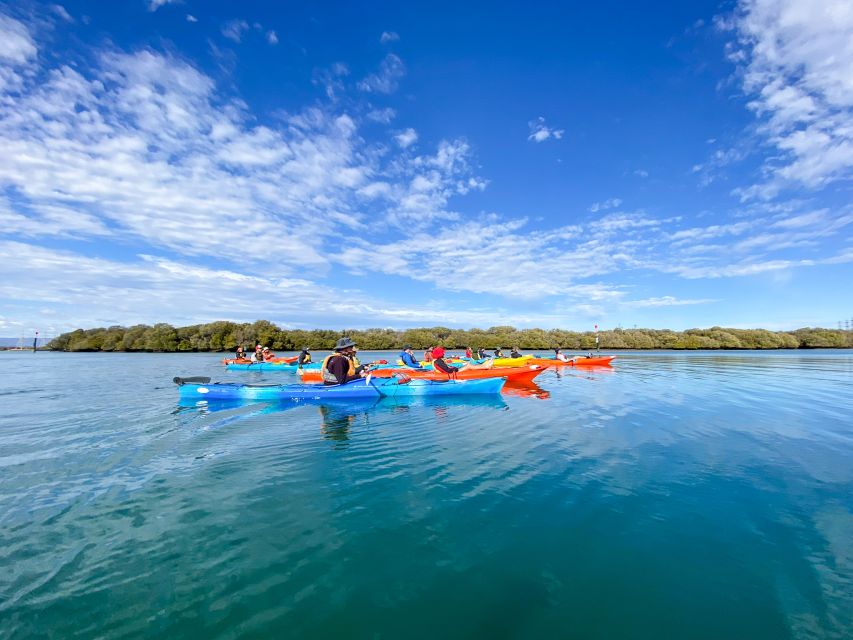 Adelaide: Dolphin Sanctuary Mangroves Kayak Tour - The kayaking part: what to wear, bring, and how it feels