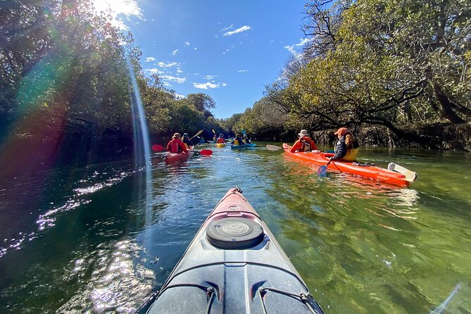 Adelaide Dolphin Sanctuary Mangroves Kayaking Tour - What to bring so the tour feels comfortable
