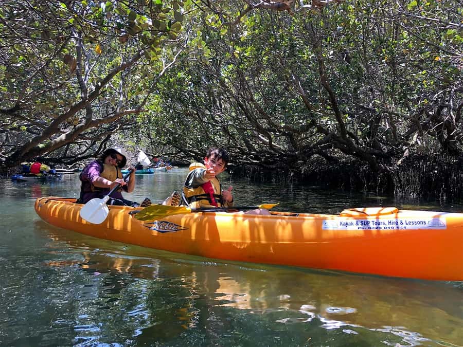 Adelaide: Dolphin Sanctuary Single or Double Kayak Rental - Key things to know before you paddle