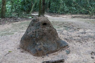 Adventure Cycling & Kayak Mekong-CuChi Tunnels Private Day Tour - Cycling Ben Luc village: farms, dragon fruit, and rice fields you can actually see