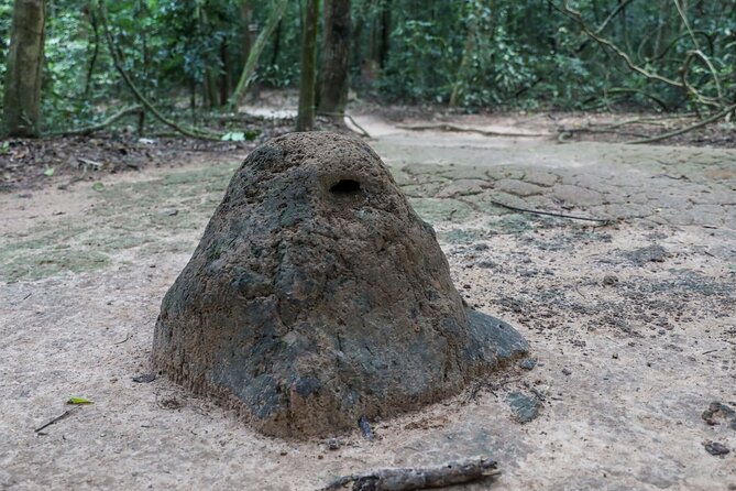 Adventure Cycling & Kayak Mekong-CuChi Tunnels Private Day Tour - Cycling Ben Luc village: farms, dragon fruit, and rice fields you can actually see